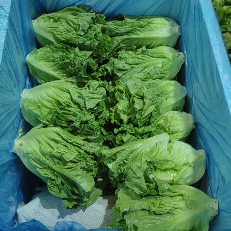 精品意大利
