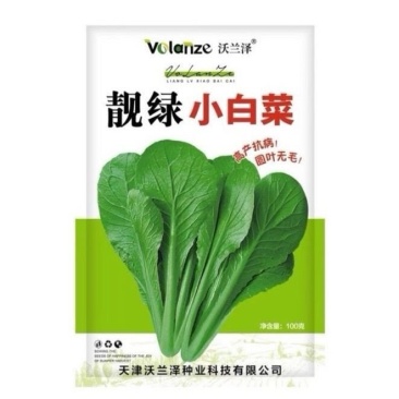 靓绿小白菜圆叶光滑无毛纤维少口感清鲜翠绿耐寒耐湿抗病高产