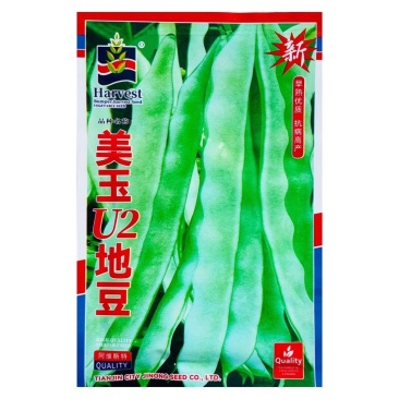 阿维斯特美玉U2地豆豆角种子早熟高产大田基地种植四季播种