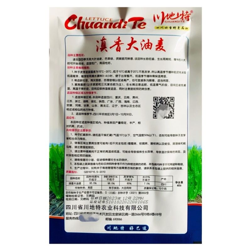 滇香大油麦菜种子耐热耐寒抗病无斑香甜油麦菜种子清甜脆嫩无