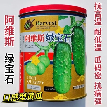 蓟农阿维斯绿宝石黄瓜种子早熟翠绿短棒形水果黄瓜种籽刺瘤少