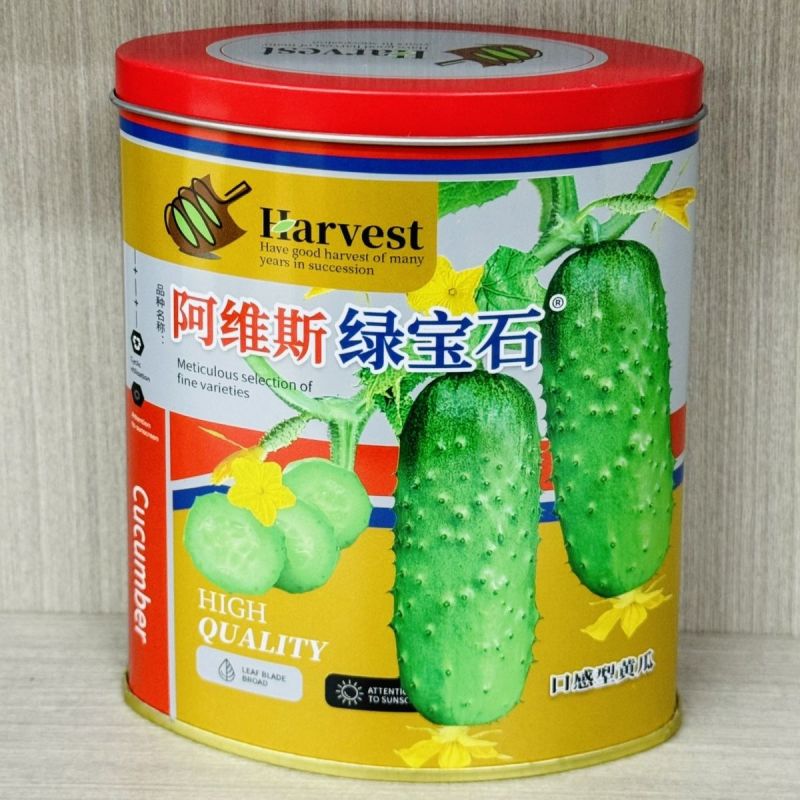 蓟农阿维斯绿宝石黄瓜种子早熟翠绿短棒形水果黄瓜种籽刺瘤少