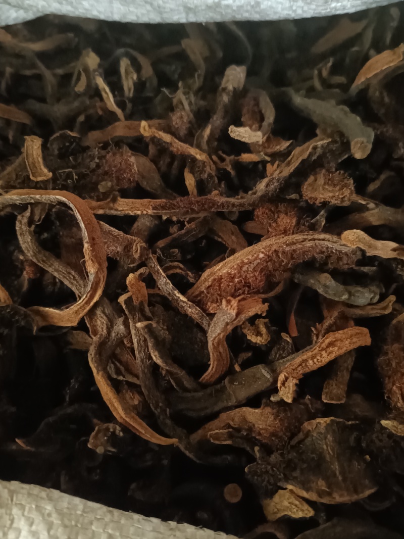 骨碎补中药材骨碎补干货实物实拍