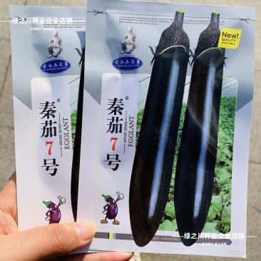 秦茄7号长茄种子黑长茄种子杂交墨黑光亮粗棒春秋季黑亮茄子