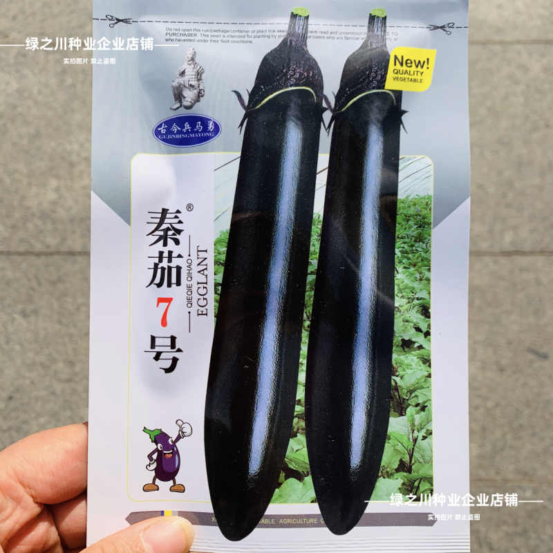 秦茄7号长茄种子黑长茄种子杂交墨黑光亮粗棒春秋季黑亮茄子