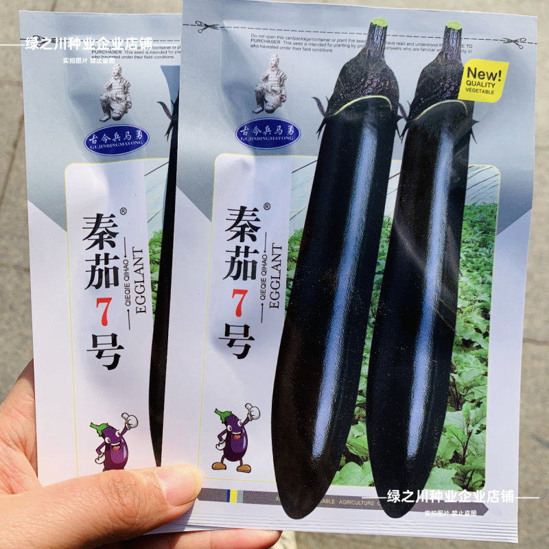 秦茄7号长茄种子黑长茄种子杂交墨黑光亮粗棒春秋季黑亮茄子