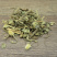 蓝布正药材批发500克