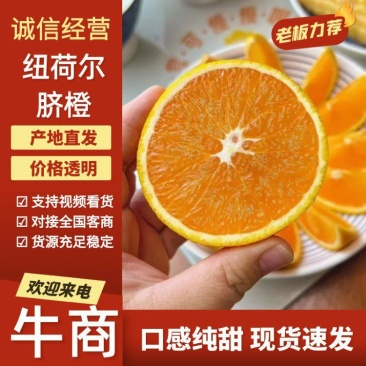 湖北宜昌纽荷尔脐橙产地发货一手货源批发品质保证价格美丽