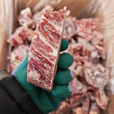 满肉羊蝎子厂家直销量大从优