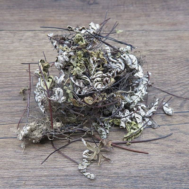 通经草铜丝草冷背奇药材批发500克