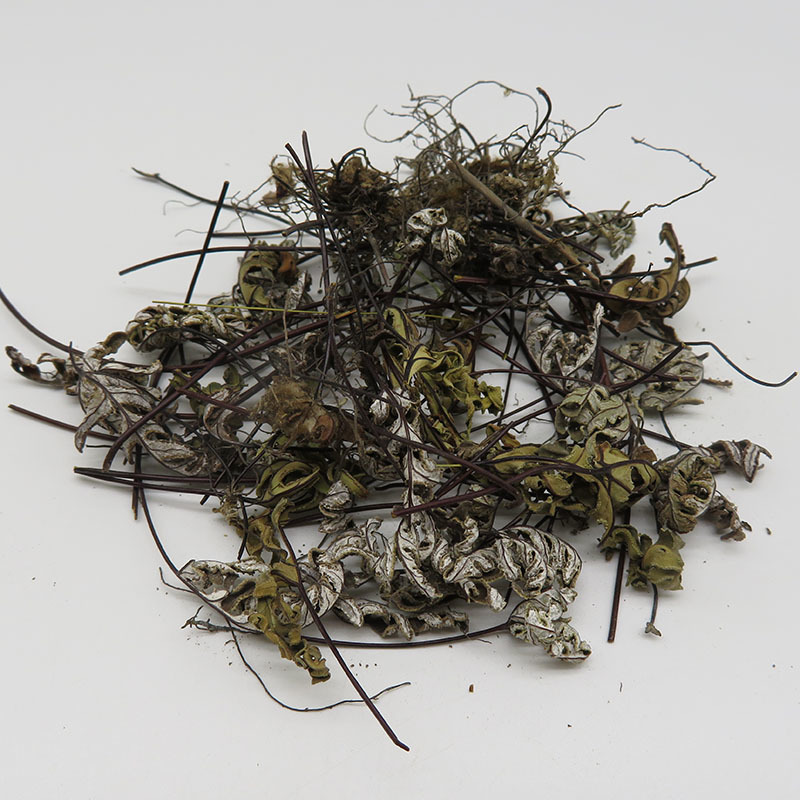 通经草铜丝草冷背奇药材批发500克