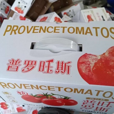 正宗普罗旺斯西红柿产地直发保质保量
