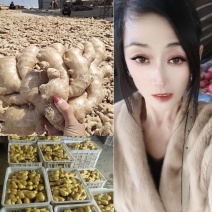 【水洗生姜】大黄姜！小黄姜！电商货！商超货！赶集货都有！