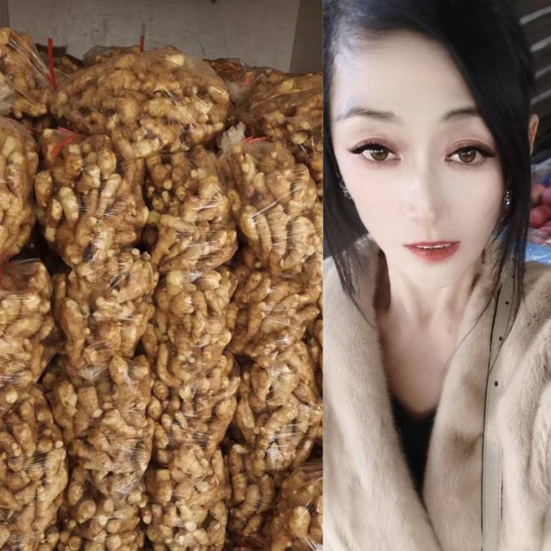 老姜生姜产地批发精品货源一年四季全国发货