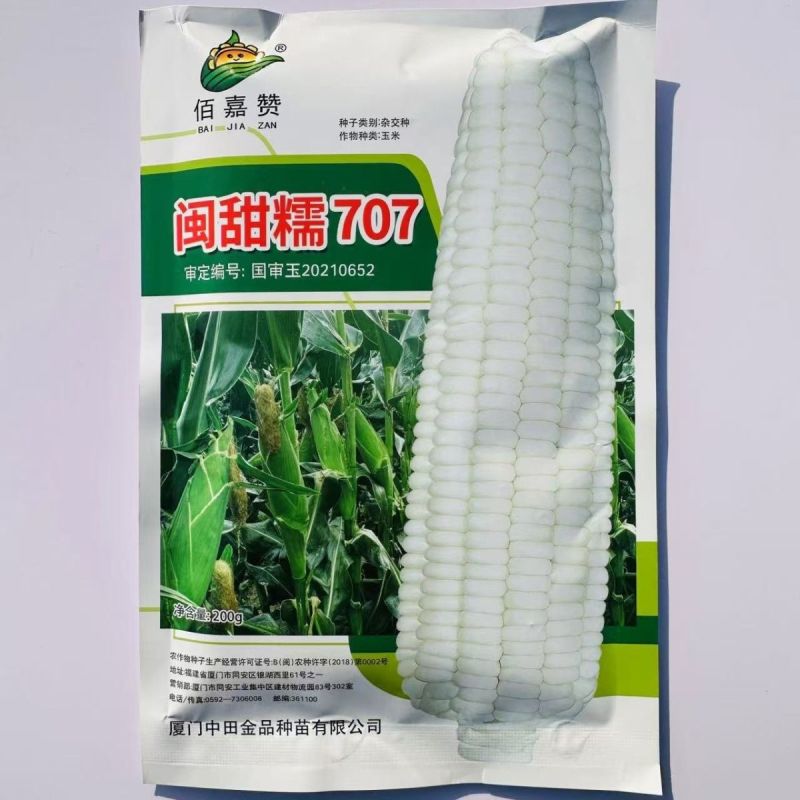 闽甜糯707甜糯玉米种子矮杆早熟大棒鲜食糯玉米种子春秋国