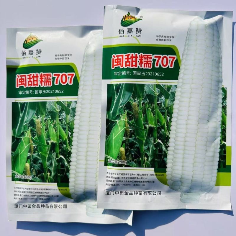 闽甜糯707甜糯玉米种子矮杆早熟大棒鲜食糯玉米种子春秋国