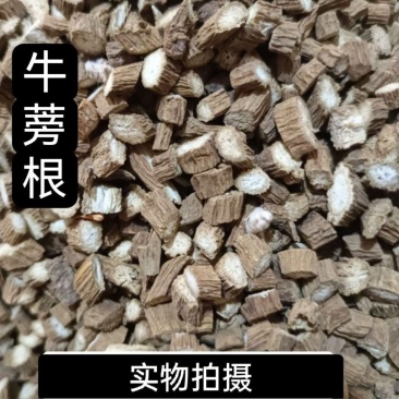 中药材牛蒡根牛子根