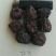 [山东乌枣]产地直销，核小肉厚，粒粒精选，欢迎各位咨询