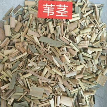 中药材苇茎韦茎芦根杆
