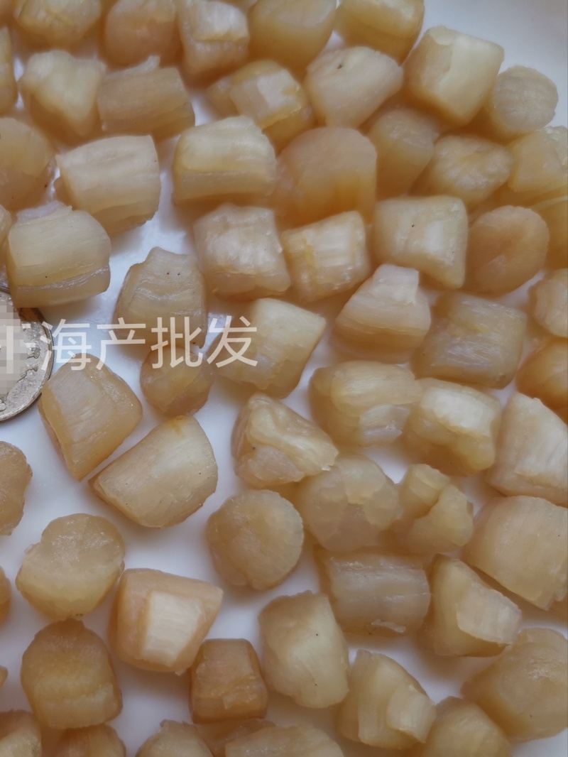 大连中大粒新鲜级干贝瑶柱贝丁淡晒足干