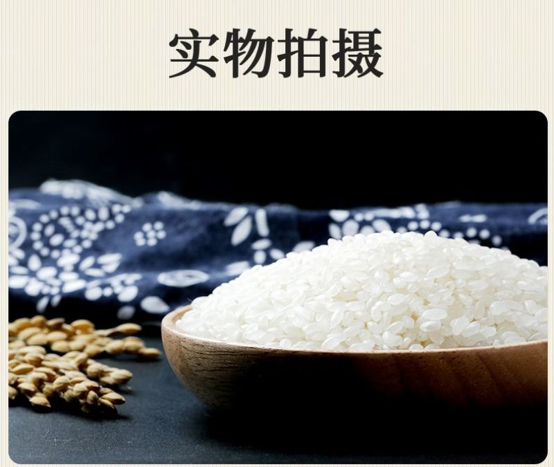 辽宁盘锦蟹田新大米货源充足大量供货一手货源