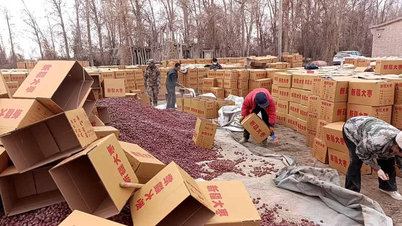 新疆灰枣，一手货源可视频看货量大从优