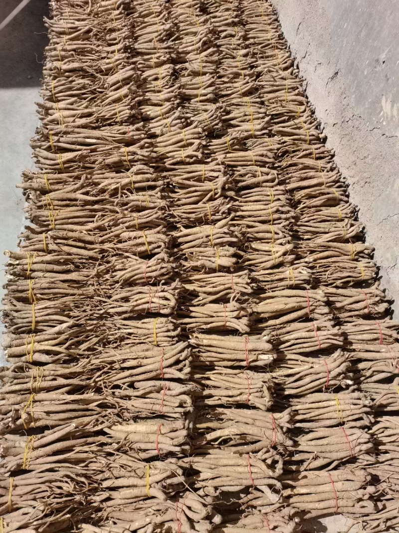 川西高原独角当归甜当归干货大量批发自然晒干品质