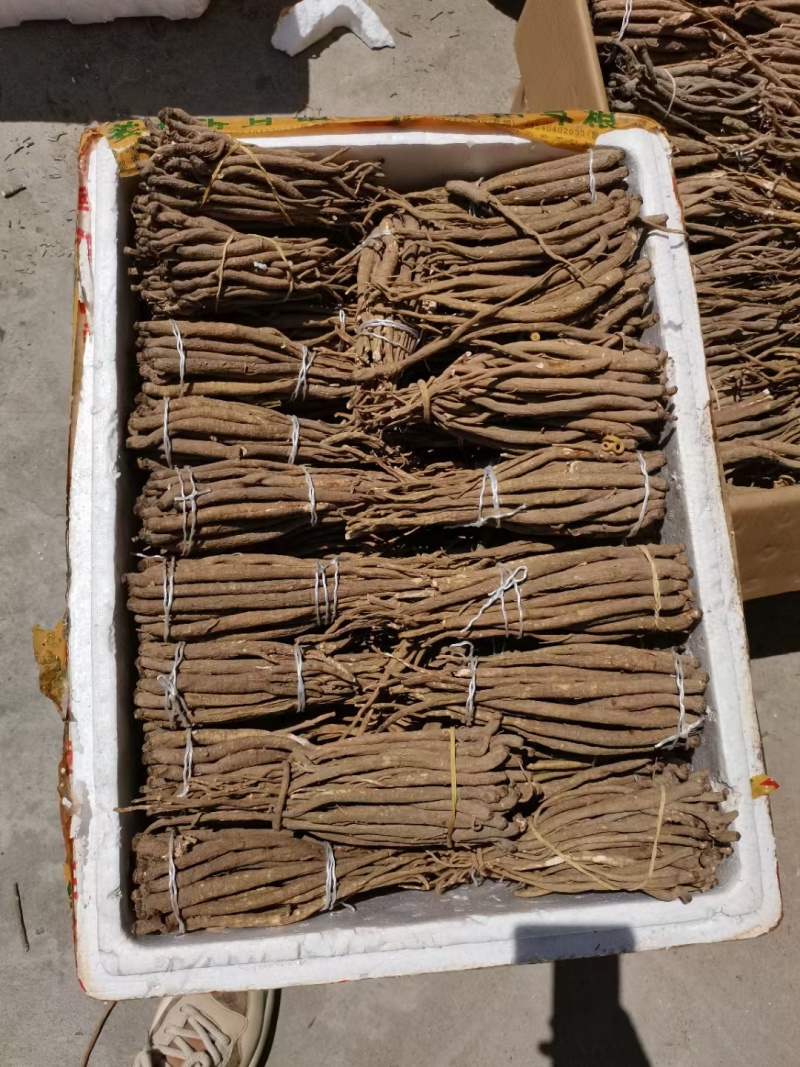 川西高原独角当归甜当归干货大量批发自然晒干品质