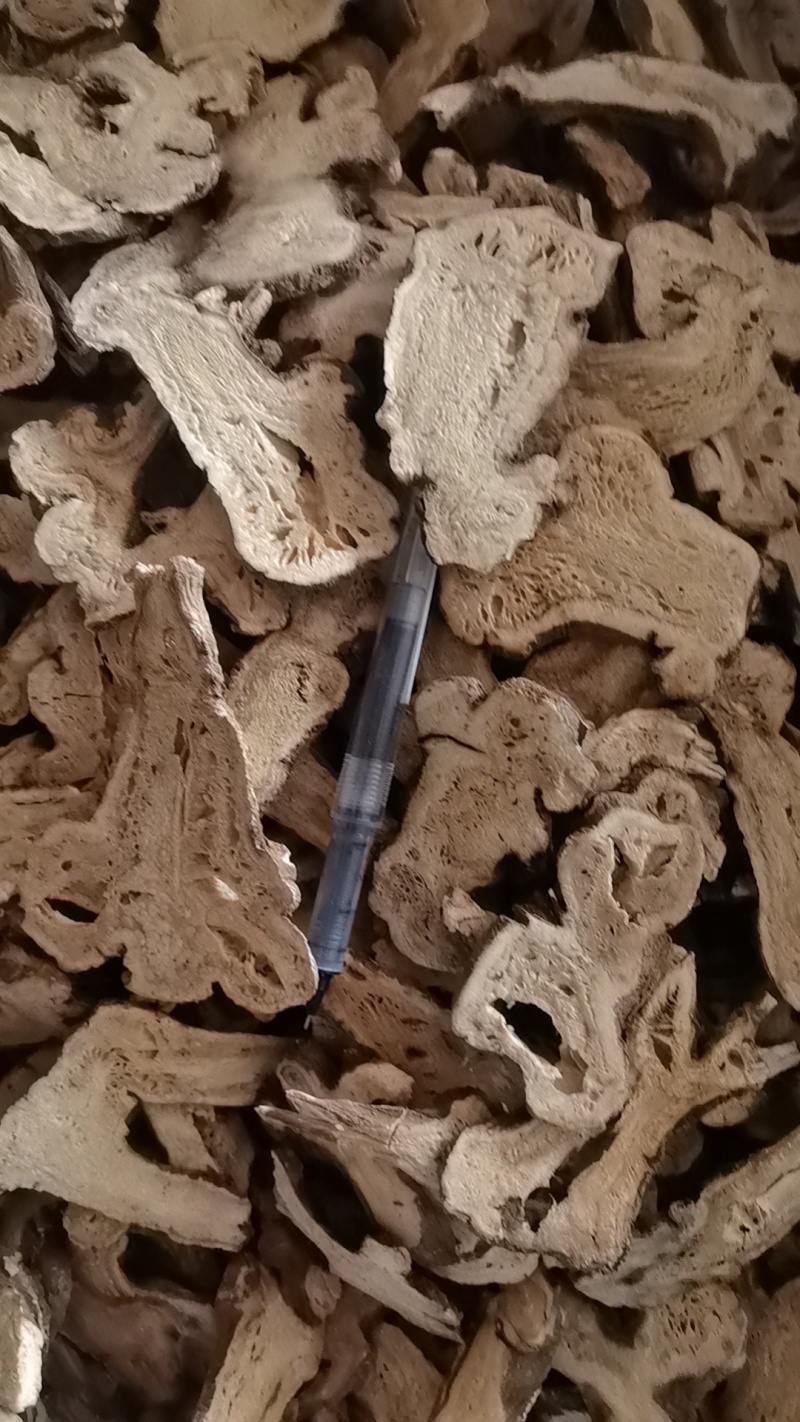 款冬花产地直销。量大从优。精品地道药材批发各种中药材