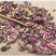 款冬花产地直销。量大从优。精品地道药材批发各种中药材