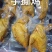 全熟手撕鸡，卤菜店，商超，展会，地摊专用，适合凉拌，干锅