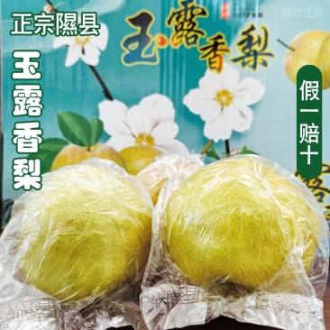 正宗山西玉露香梨酥梨香梨梨子