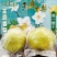 正宗山西玉露香梨酥梨香梨梨子