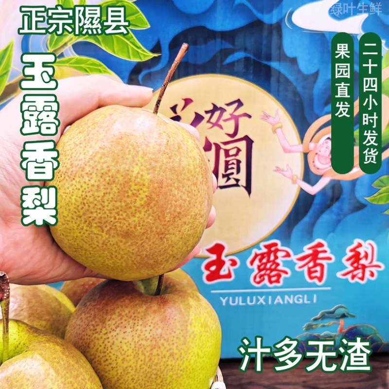 正宗山西玉露香梨酥梨香梨梨子