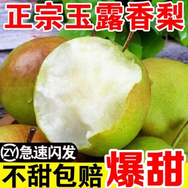正宗山西玉露香梨网红款抖音淘宝拼多多一件代发视频号