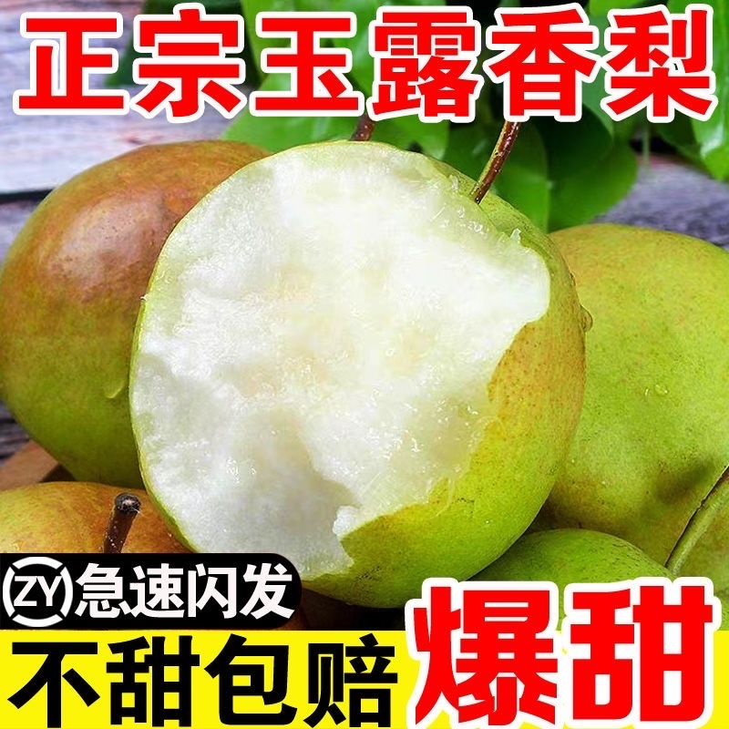正宗山西玉露香梨网红款抖音淘宝拼多多一件代发视频号