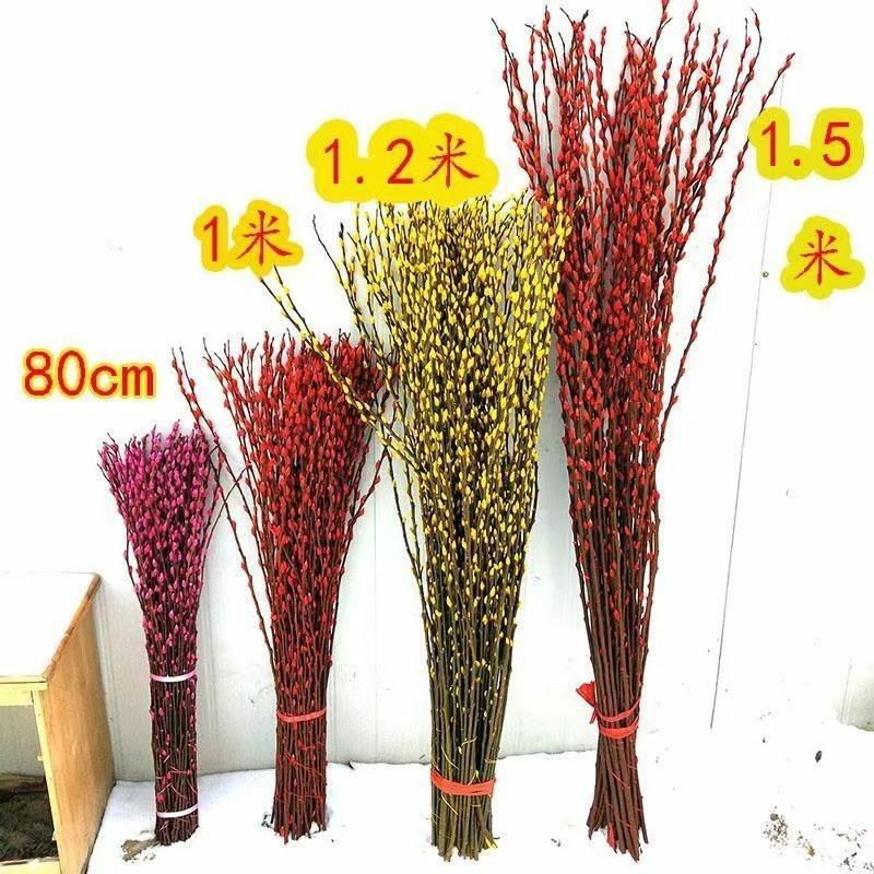 红色招财银柳干花真花鲜枝耐寒花卉可水培植物客厅室内装饰
