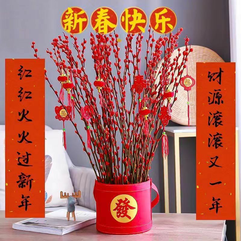 红色招财银柳干花真花鲜枝耐寒花卉可水培植物客厅室内装饰