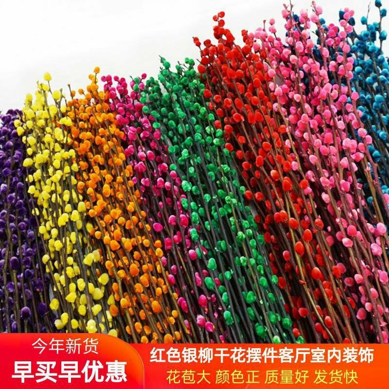 红色招财银柳干花真花鲜枝耐寒花卉可水培植物客厅室内装饰