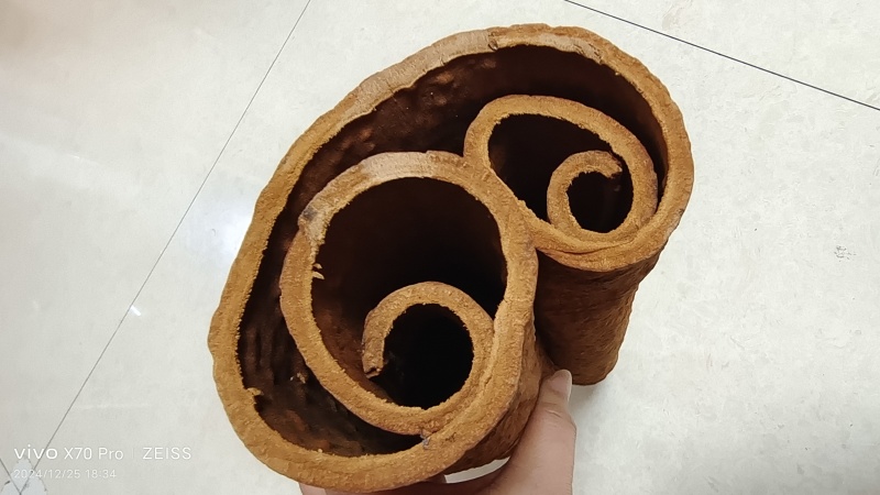 紫油桂大板高山油桂味道浓国产含量足量大优惠
