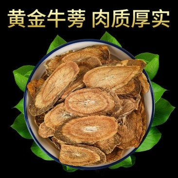 黄金牛蒡批发色泽漂亮干净大片香味四溢牛蒡根产地直