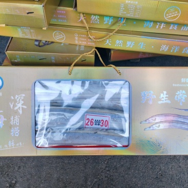 舟山带鱼东海带鱼礼品带鱼冻带鱼带鱼，开窗带鱼