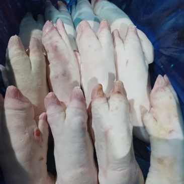 带筋猪蹄