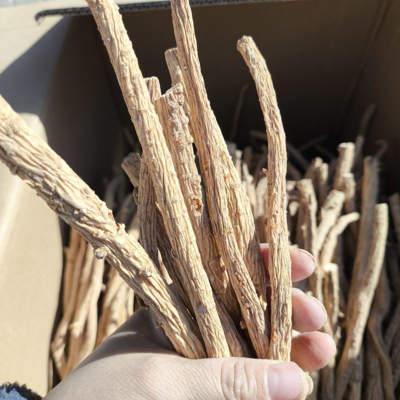 新货防风个子内蒙古北防风干精选防风粉中草药片天然