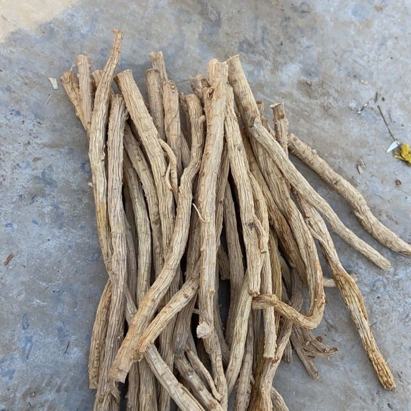 新货防风个子内蒙古北防风干精选防风粉中草药片天然