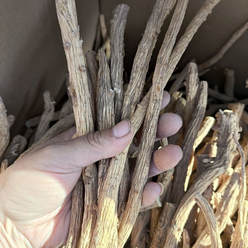 新货防风个子内蒙古北防风干精选防风粉中草药片天然