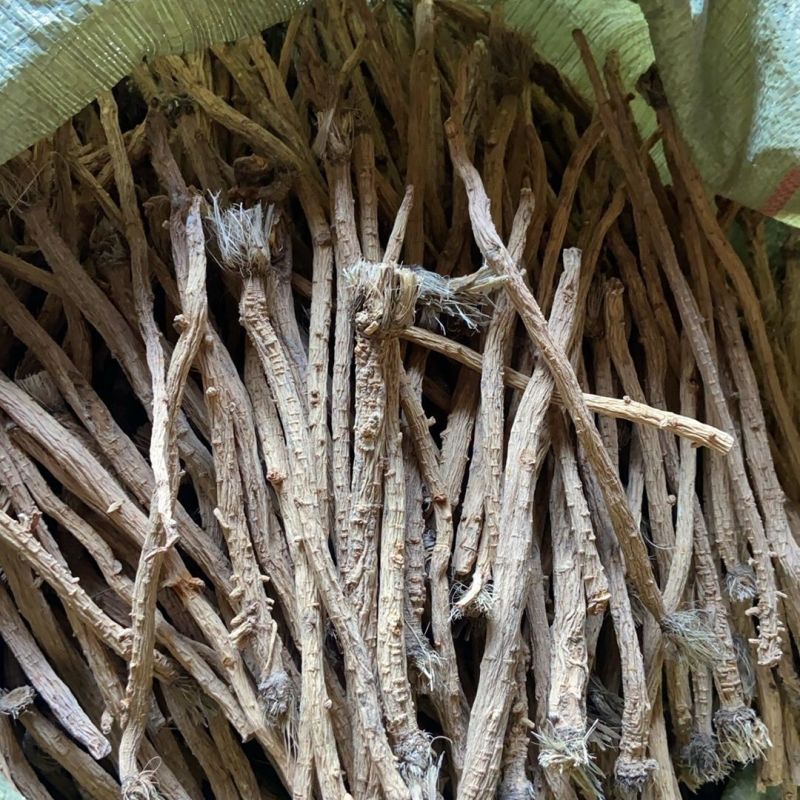 新货防风个子内蒙古北防风干精选防风粉中草药片天然
