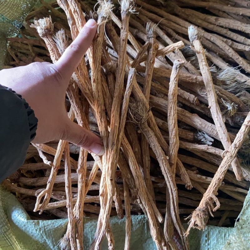 新货防风个子内蒙古北防风干精选防风粉中草药片天然