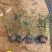 麦冬草麦冬地被小苗福建漳州苗木基地