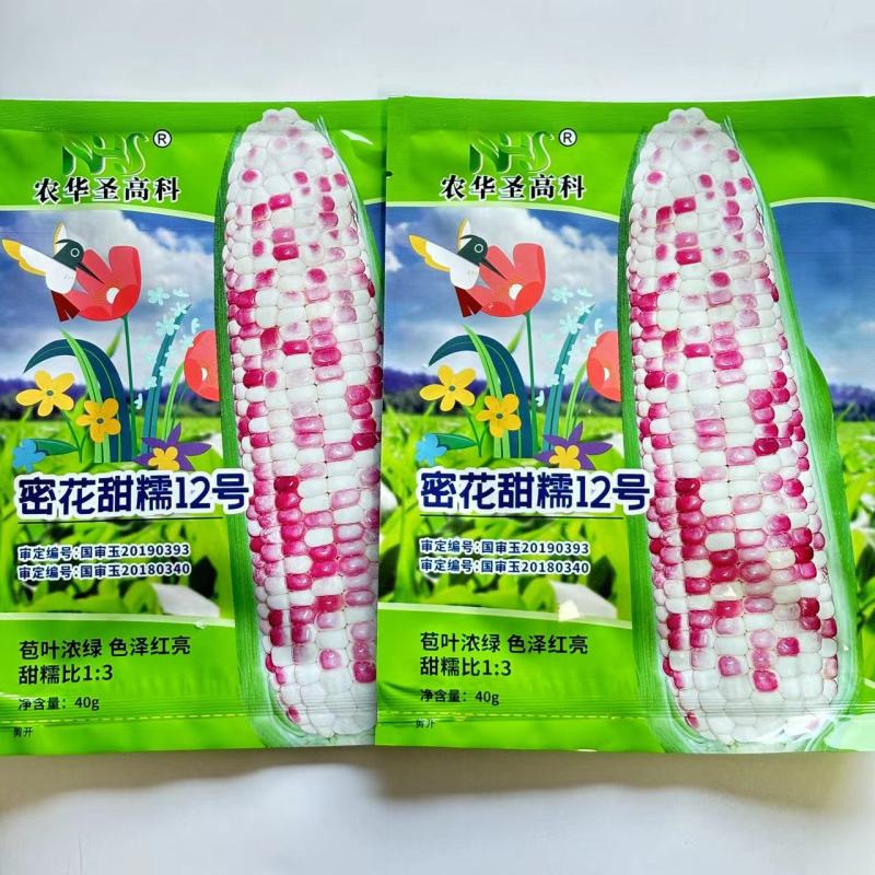 密花甜糯12号彩甜糯玉米种子绿皮大棒甜加糯鲜食玉米种国审